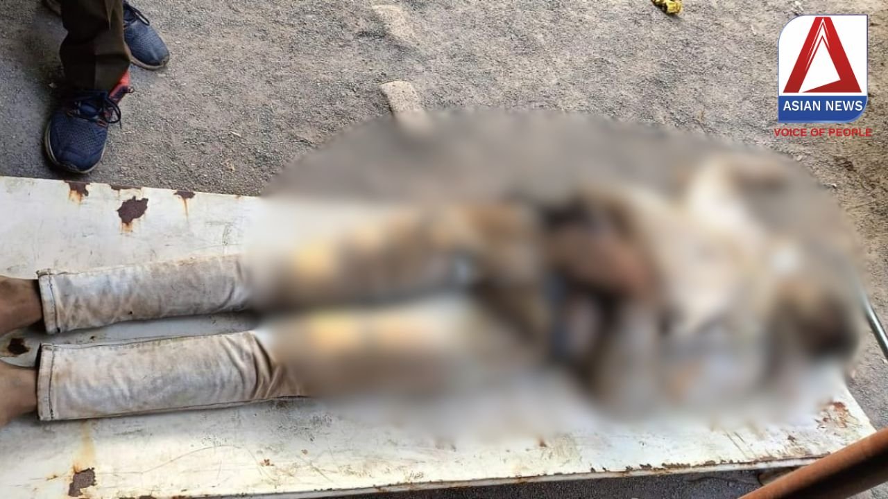 Bilaspur Accident : सड़क हादसे में बाइक सवार युवक की मौत.....