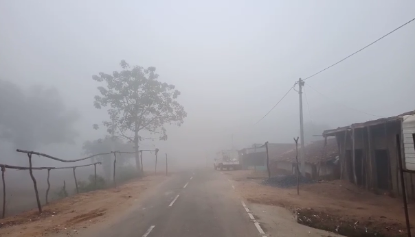 Pendra Breaking : शीतलहर का प्रकोप, तापमान 6 डिग्री तक पहुंचा...