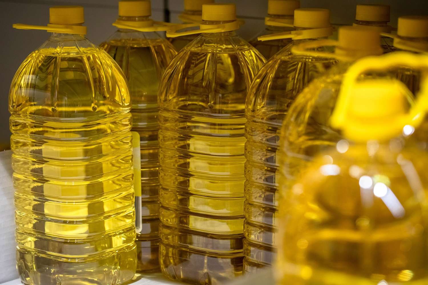 Cooking Oil और कैंसर : कौन-से तेल हैं आपके स्वास्थ्य के लिए खतरा?