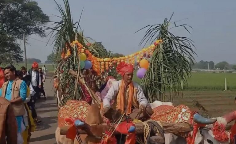एक शादी भारतीय प्राचीन भारतीय संस्कृति वाली....देखें वीडियो