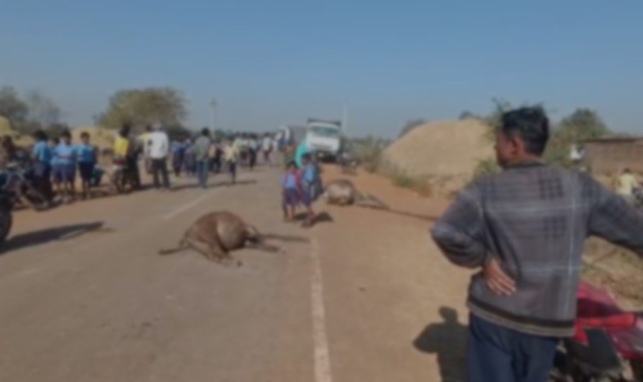 Abhanpur Breaking : लापरवाह ट्रक चालक ने दर्जनों भैंसो को रौंदा, 5 की मौत...