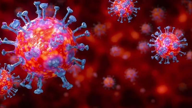 HMPV Virus : आखिर चीन से ही क्यों बार-बार महामारी फैलती है? कारणों पर एक नजर