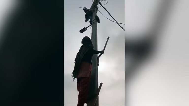 UP News : उत्तर प्रदेश के संभल जिले में लाइनमैन को हड़काने का वीडियो हुआ वायरल...
