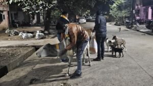 WhatsApp Image 2025 01 01 at 6.27.56 PM