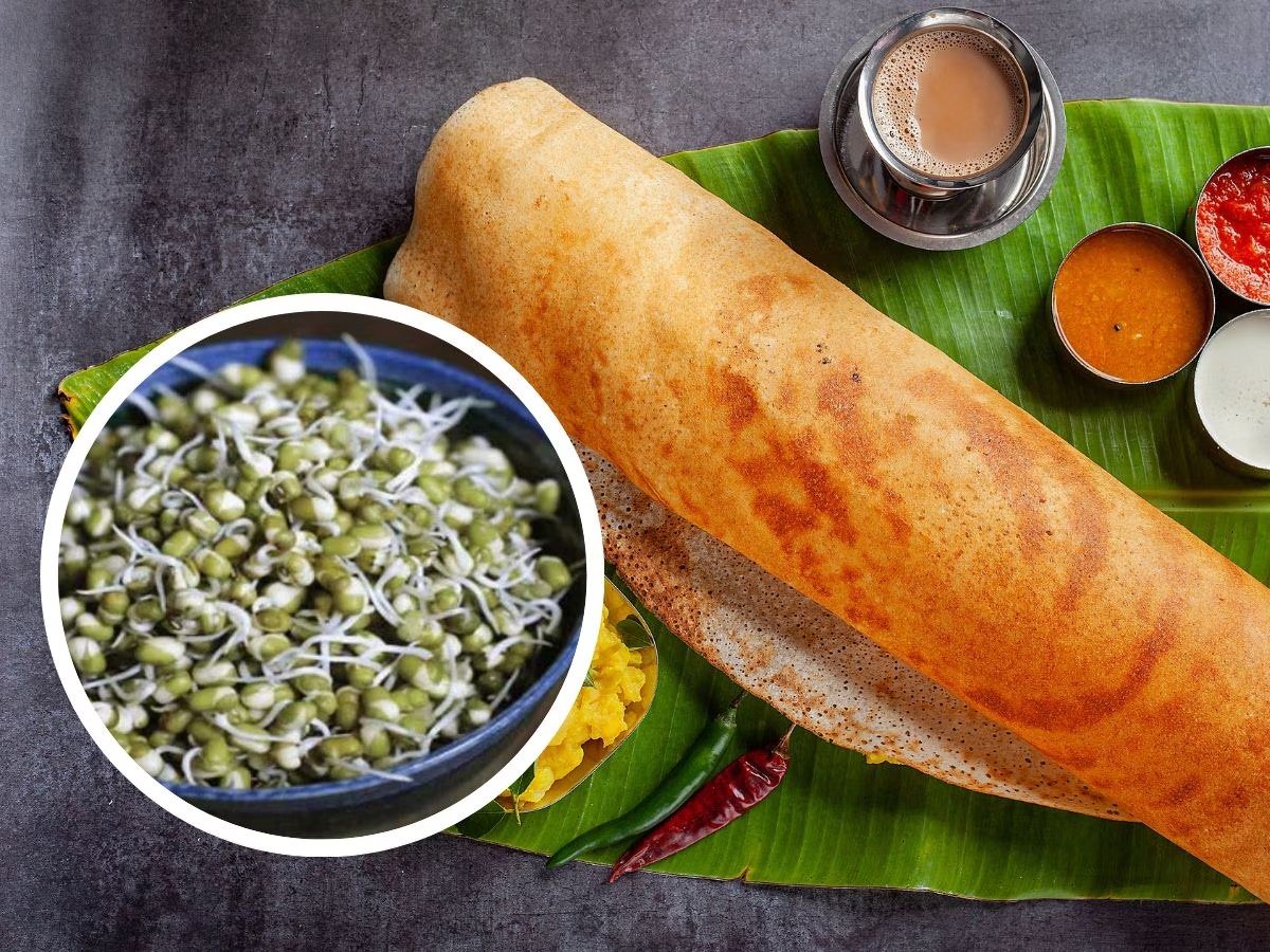 WhatsApp Image 2025-01-05 at 11.21.15 AM