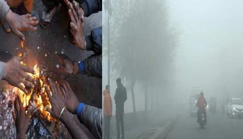 WhatsApp Image 2025-01-05 at 8.53.41 AM