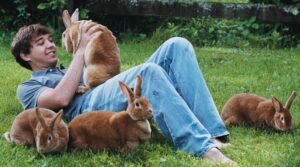Rabbit Fever : जानिए क्या है ये रैबिट फीवर 2 WhatsApp Image 2025 01 06 at 6.26.37 PM 1