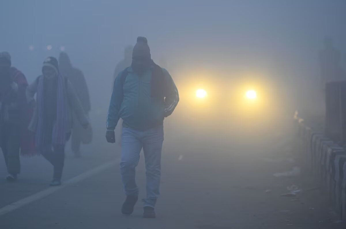 WhatsApp Image 2025-01-21 at 9.19.22 AM