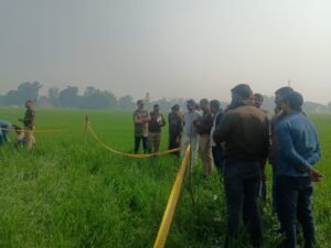 WhatsApp Image 2025 01 30 at 14.44.42