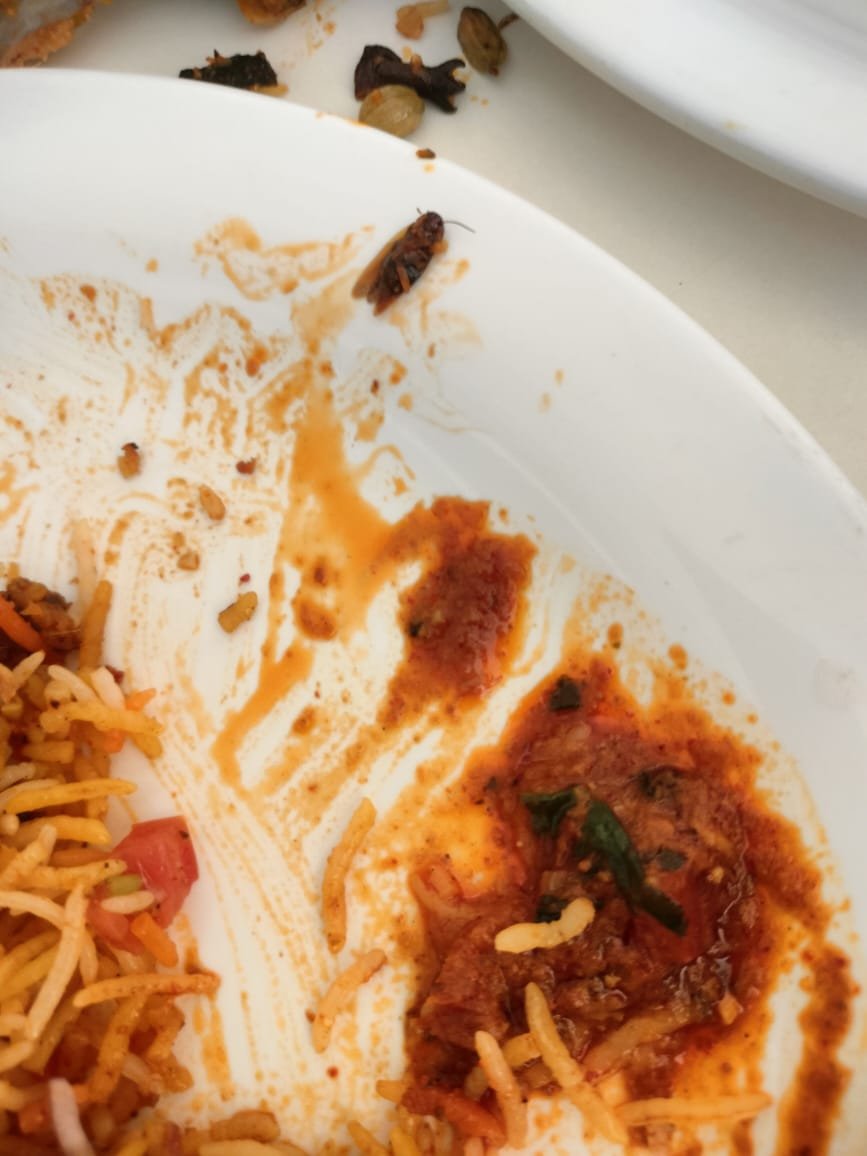 WhatsApp Image 2025 01 30 at 6.58.18 PM