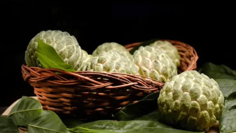 Custard Apple Benefits