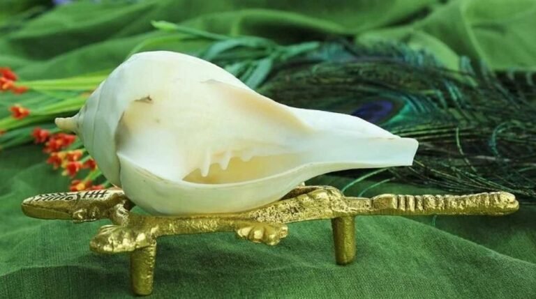 Vaastu Dosh : शंख की ध्वनि से घर में आएगी सकारात्मक ऊर्जा, जानें पूजा विधि..