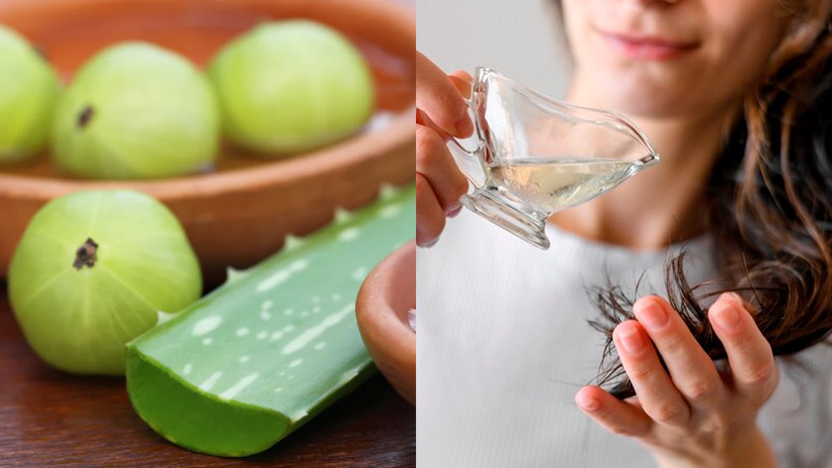 Hair Care Tips : आंवला और एलोवेरा से पाएं हेल्दी और मजबूत बाल...