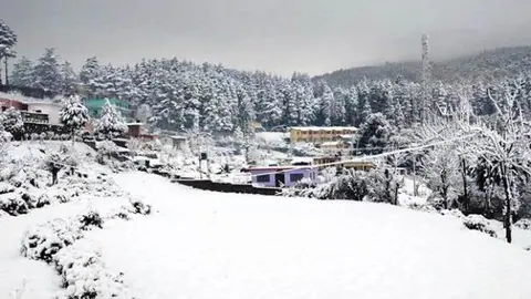 Uttarakhand : रामगढ़-मुक्तेश्वर में साल की पहली बर्फबारी, पर्यटकों ने लिया आनंद...