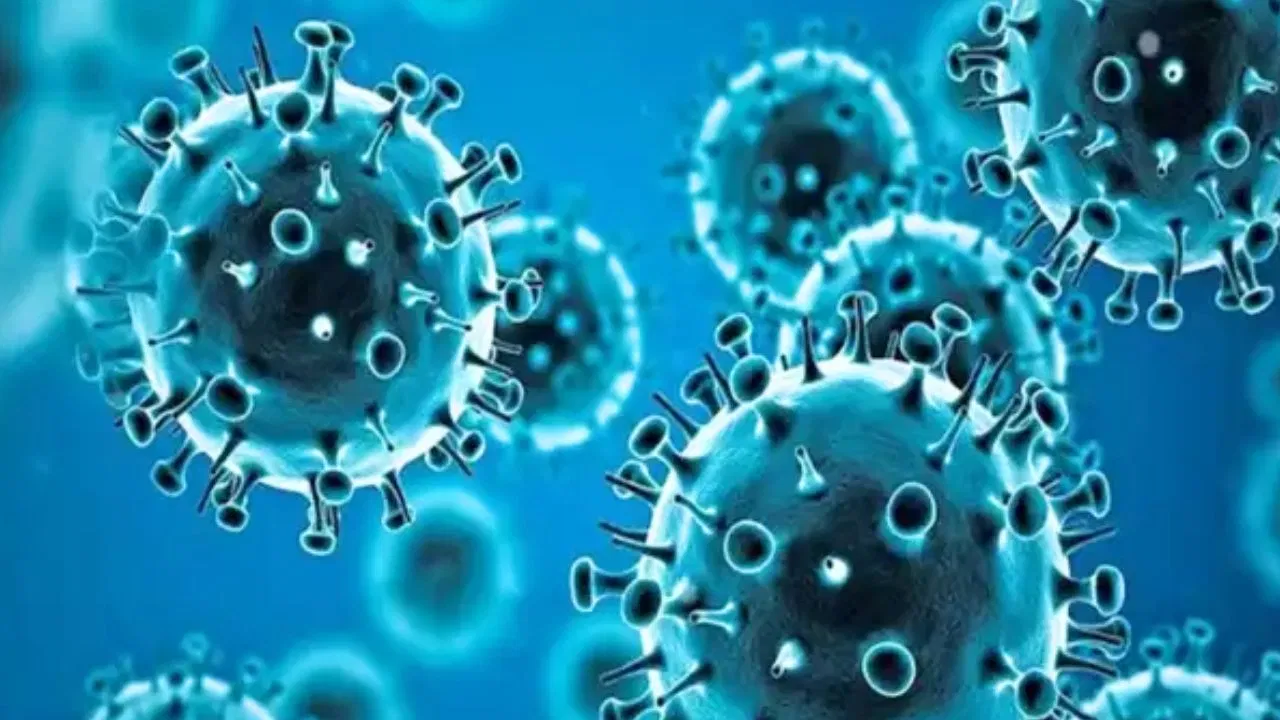 गुजरात में HMPV का एक और मामला आया सामने...