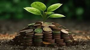 Money Plant : धन और समृद्धि लाने वाला शुभ पौधा...