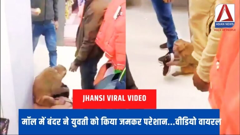 jhansi viral video मॉल में बंदर ने युवती को किया जमकर परेशान...वीडियो वायरल