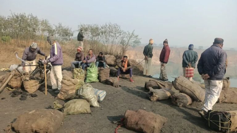 कोयला तस्करी मामला : सरगुजा में 12 आरोपी गिरफ्तार, लाखों का कोयला जब्त...