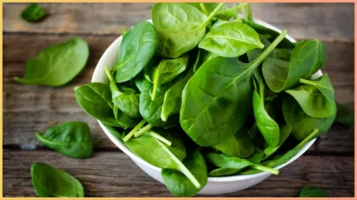 सर्दियों में पालक का सेवन : कब बन सकता है यह नुकसानदायक?