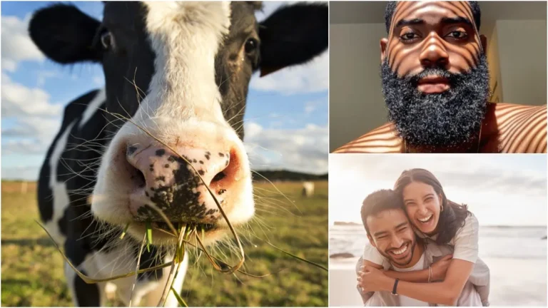 इतिहास में लगे अजीबोगरीब टैक्स