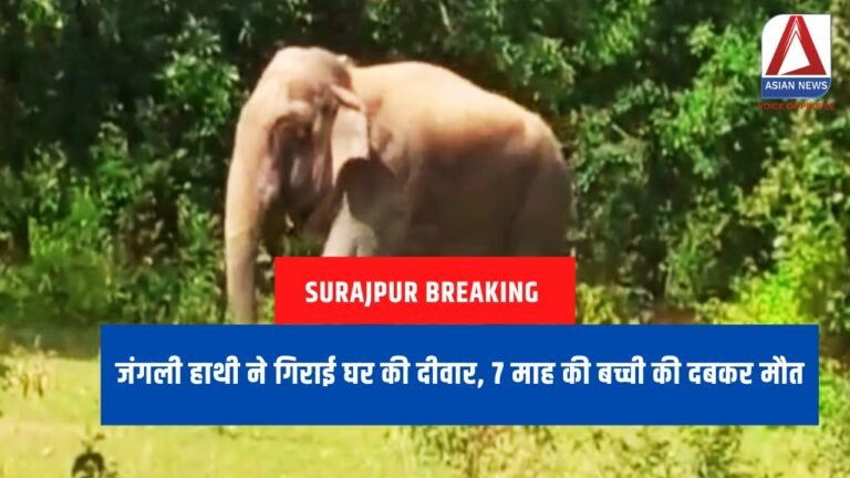 Surajpur Breaking : जंगली हाथी ने गिराई घर की दीवार, 7 माह की बच्ची की दबकर मौत