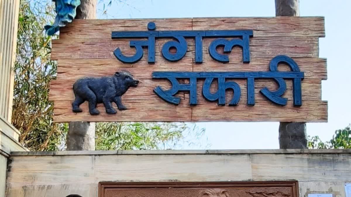 Raipur News: नागालैंड से रायपुर लाए गए हिमालयन भालू की मौत, विवादों में घिरा वन विभाग...