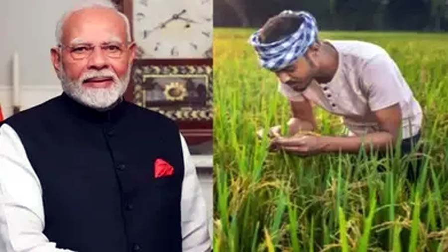 Kisan Samman Nidhi : आज किसानों के खातों में 22,700 करोड़ रुपये ट्रांसफर करेंगे पीएम मोदी....