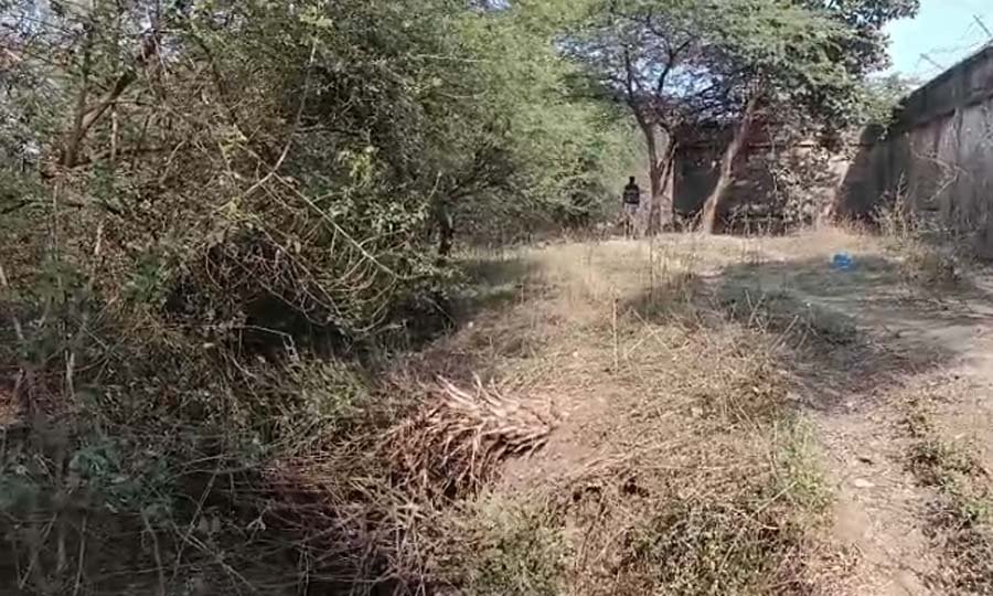 Ujjain Crime News : 11वीं के छात्र की निर्मम हत्या....