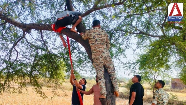 Bilaspur News : पेड़ में फांसी लगाकर सुसाइड कर रहा था युवक...फिर अचानक....