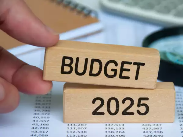Budget 2025: अब से महंगी हो जाएंगी ये चीजें, बजट में हुआ ऐलान, यहां देखें लिस्ट...
