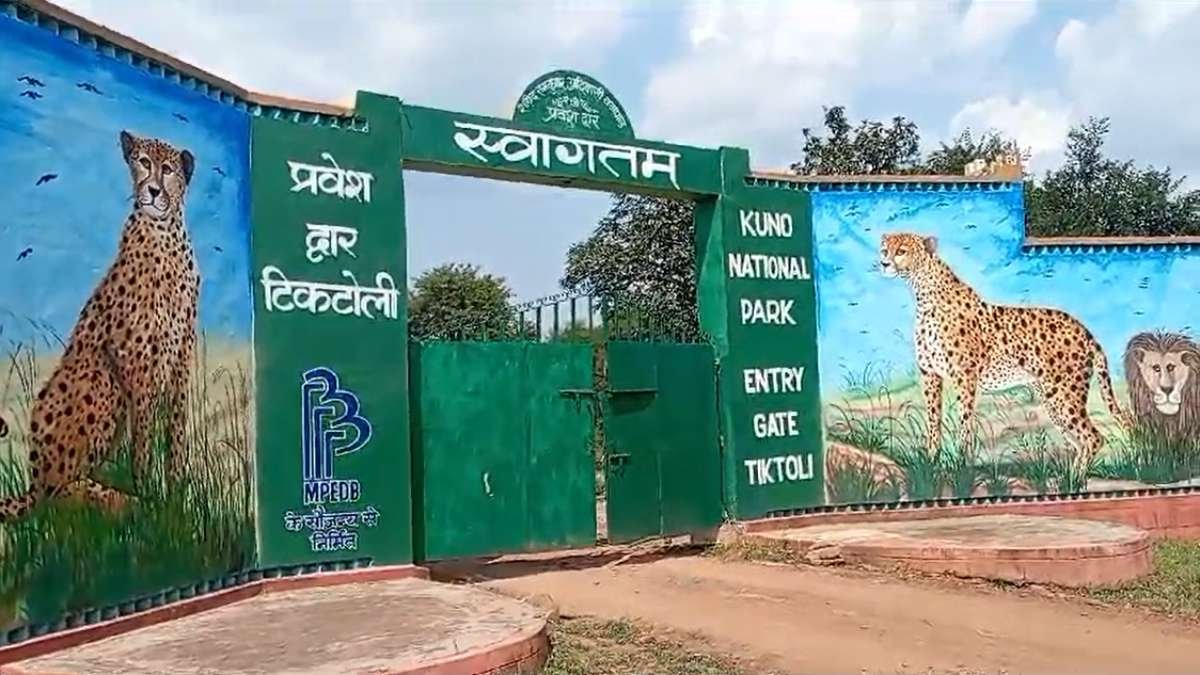 MP News: मध्यप्रदेश को जल्द मिलेगा नया टाइगर रिजर्व...