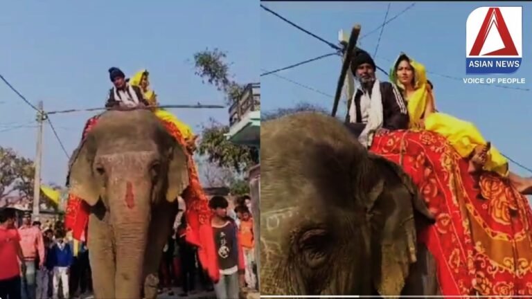 Viral News : दरोगा दुल्हनिया की अनोखी शादी, हाथी पर सवार होकर किया मटकोर...देखें वीडियो