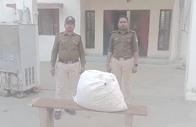 MP News: "ऑपरेशन प्रहार" के तहत 22 किलो 545 ग्राम गांजा जब्त, आरोपी महिला गिरफ्तार...