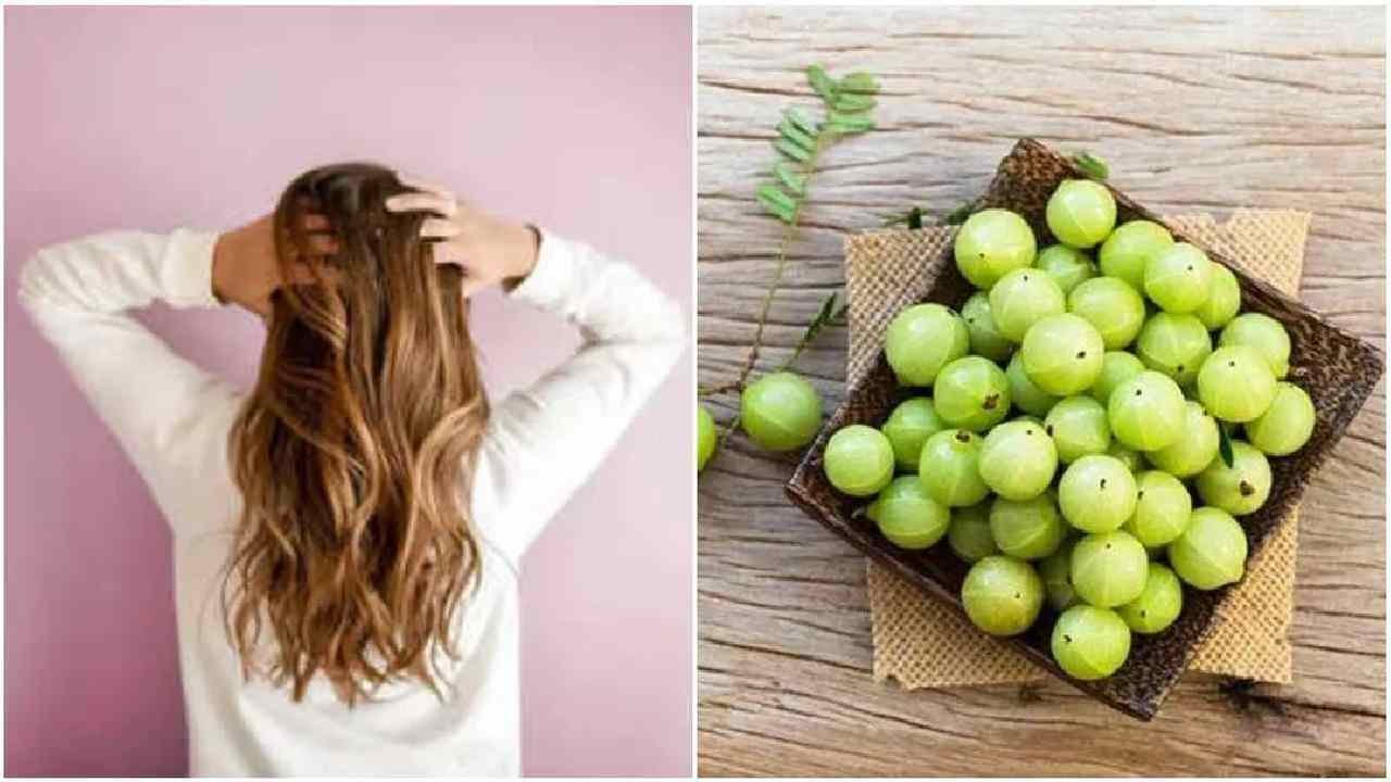 Hair Care : आंवला से बाल झड़ने की समस्या को करे छूमंतर...