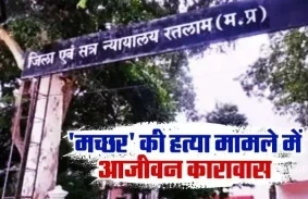 MP News : 'मच्‍छर' की हत्‍या पर आरोपी को आजीवन कारावास, 7 साल बाद आया कोर्ट का फैसला, जानें क्या हुआ था