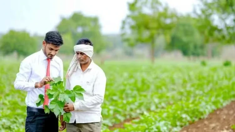 App Launch : किसानों के लिए बड़ी खुशखबरी, फसल की बीमारी का पता लगाने और इलाज बताने वाला ऐप लॉन्च...