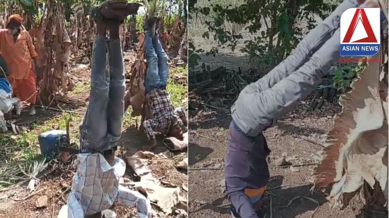 गजब आंदोलन : उचित मुआवजा न मिलने पर किसानों का शिर्षासन...वीडियो वायरल