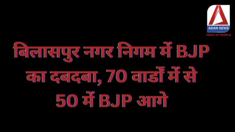 CG Nikay Chunav Results 2025
