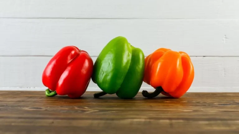 शिमला मिर्च के अनगिनत फायदे: इम्यूनिटी बढ़ाने से वजन घटाने तक, जानिए इसके चमत्कारी गुण...