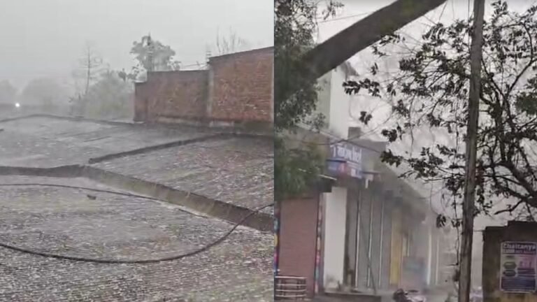 CG News: बेमौसम बारिश और ओलावृष्टि से फसलें बर्बाद, किसानों की बढ़ी चिंता...