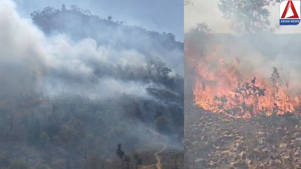 CG News : सिद्ध बाबा पहाड़ी में लगी भीषण आग, अफरा-तफरी का माहौल, देखें वीडियो...