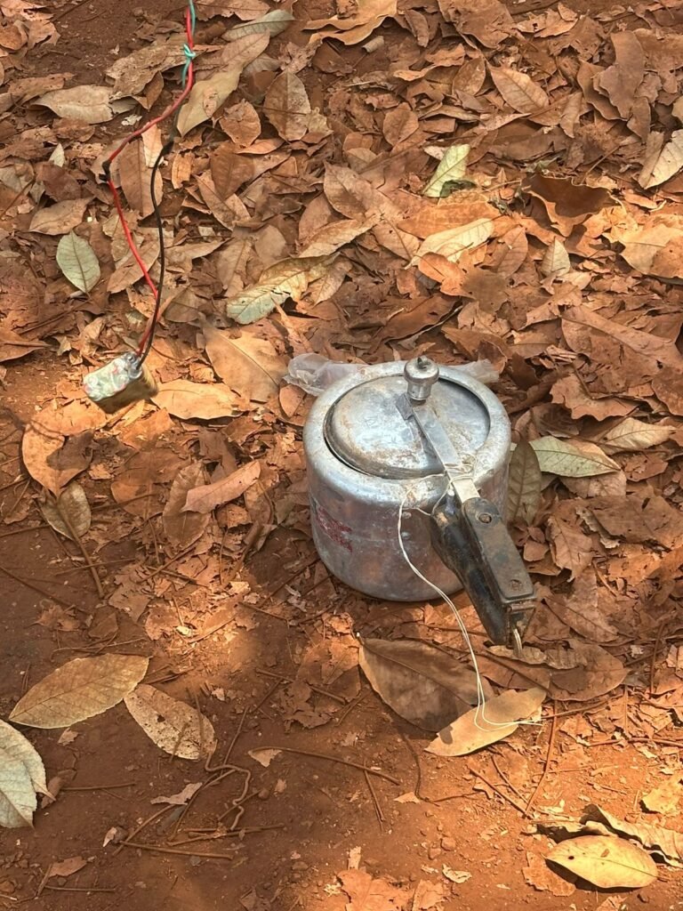 WhatsApp Image 2025-03-13 at 8.06.31 AM