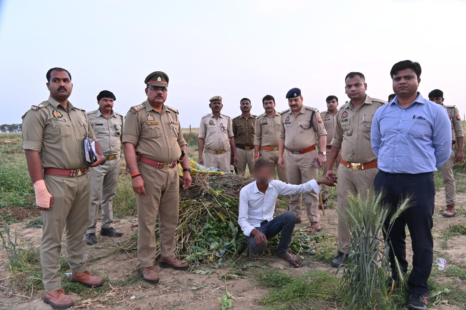 UP News: अवैध अफीम की खेती का भंडाफोड़, 186 किलो पोस्ता बरामद, 1 आरोपी गिरफ्तार...