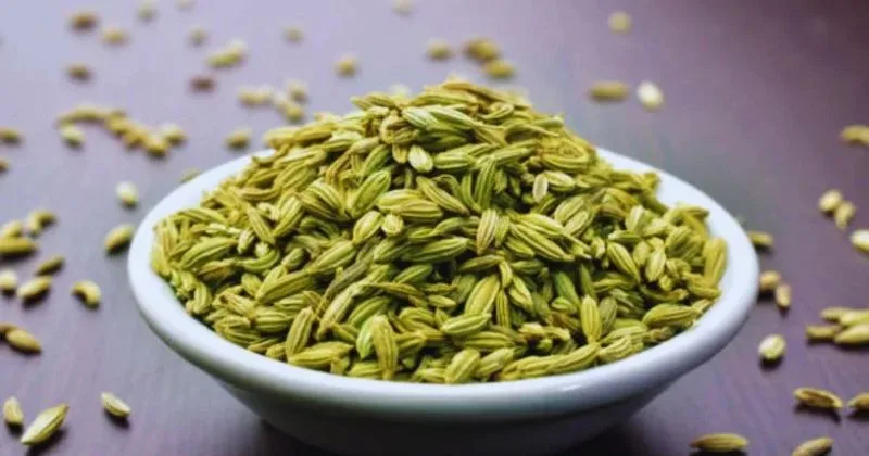 Home Remedies: खाने के बाद एक चम्मच सौंफ खाने के हैं जबरदस्त फायदे, जानिए...