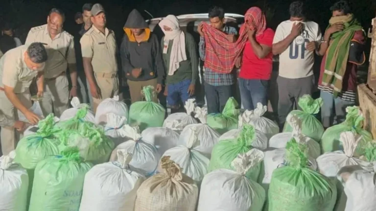Odisha News : ओडिशा से छत्तीसगढ़ की स्मगलिंग रूट पर पुलिस का बड़ा धावा, 7 क्विंटल गांजा जब्त, 6 तस्कर गिरफ्तार...