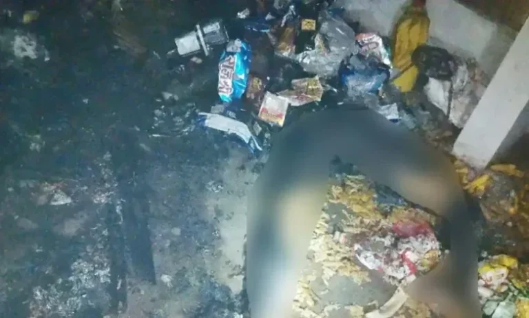 CG News : दुकान में लगी आग, मालिक की जलकर मौत, शॉर्ट सर्किट या साजिश...