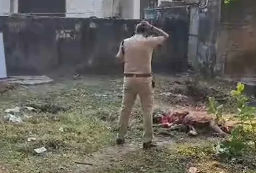 CG News : महिला की संदिग्ध हालात में मौत, क्षेत्र में फैली सनसनी, पुलिस जांच में जुटी...