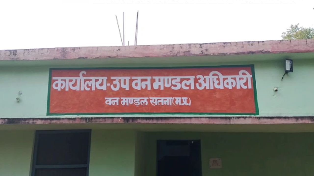 MP News: वन भूमि पर अवैध अतिक्रमण और वन्य जीव तस्करी, एक आरोपी गिरफ्तार...