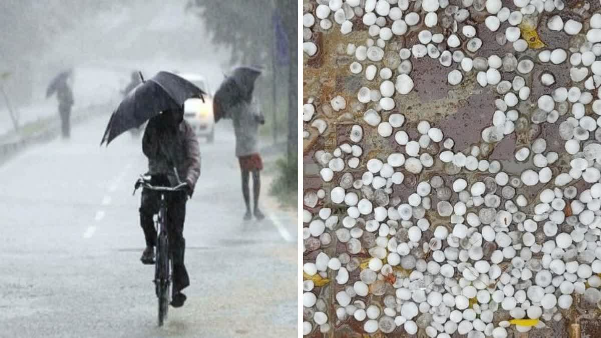 chhattisgarh-weather-update-rain-hailstorm-april-2-4