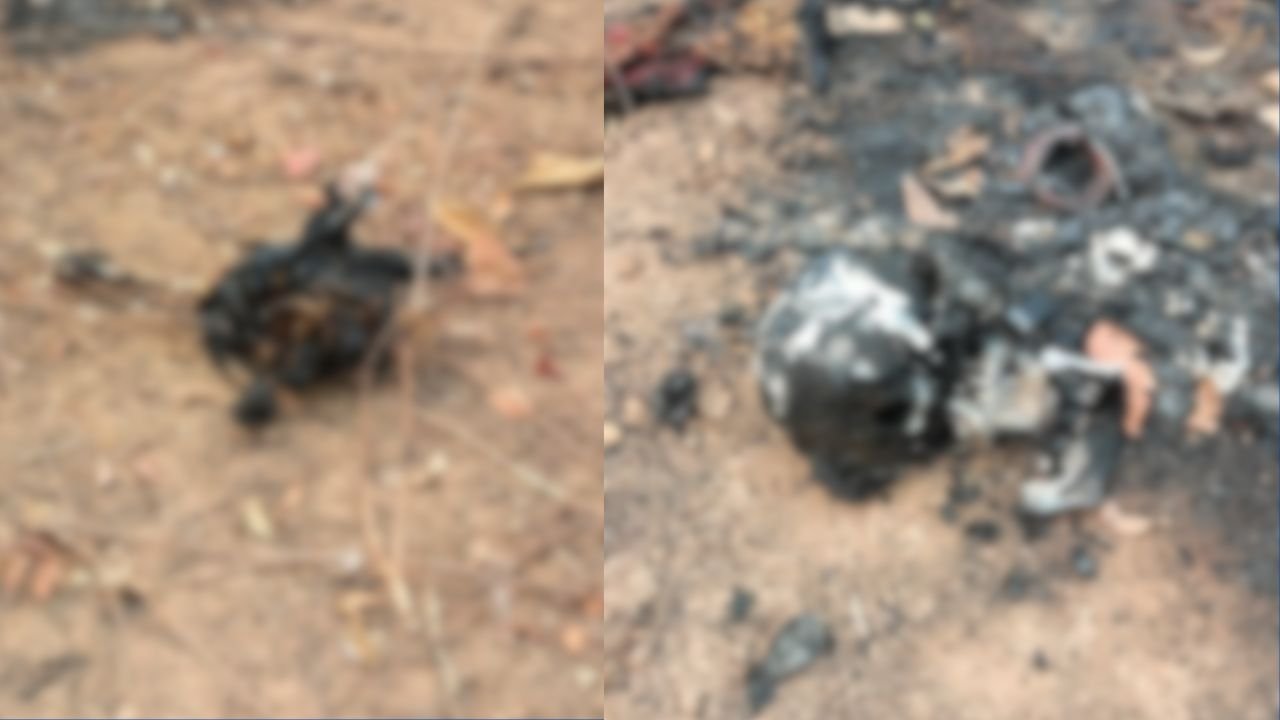 CG News: जंगल में मिली महिला की जली हुई लाश, हत्या की आशंका...